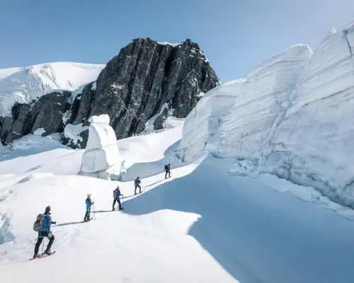 威格利：塔斯曼冰川之巔徒步之旅 | 庫克山