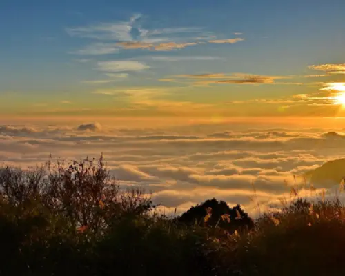 Add-on High Speed ​​Rail tickets for Up to 25% Off| High Speed ​​Rail 2-Day Holiday Trip to Chiayi | Alishan Forest Railway & Sunrise Viewing & Fenqihu & Round-Trip High Speed ​​Rail Tickets | High Speed ​​Rail Holiday