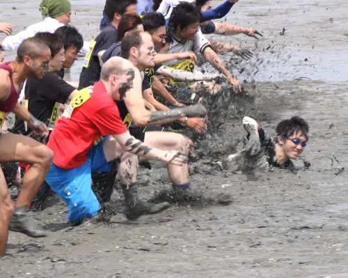 Saga: 2026 Kashima Gatalympic Participatory Bus Tour from Hakata