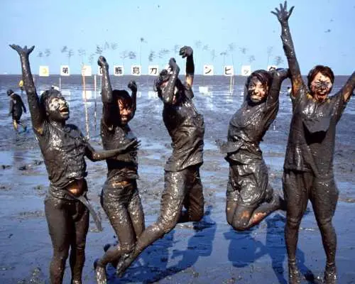 Saga: 2026 Kashima Gatalympic Participatory Bus Tour from Hakata