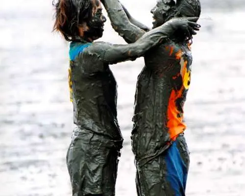 Saga: 2026 Kashima Gatalympic Participatory Bus Tour from Hakata