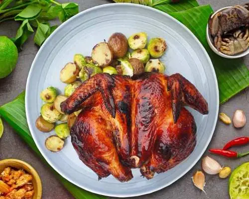 Lazy Lizard - Pasir Panjang | South West