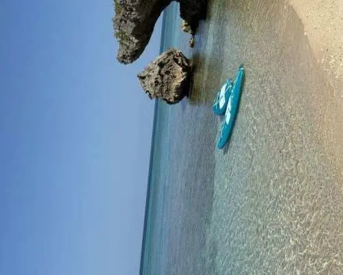 【沖縄　今帰仁村・本部】サップ　左右の水面下に現れるサンゴ礁や熱帯魚をゆったりご覧になれます。＊Insta360で撮影無料！