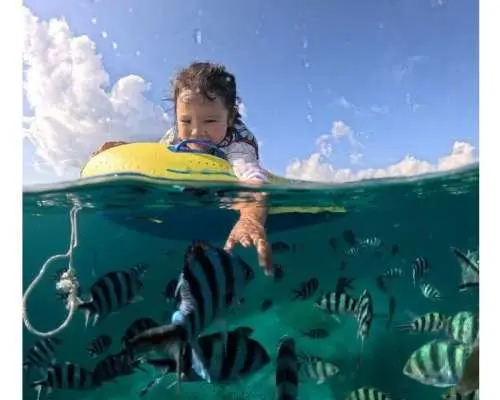 [Okinawa, Ishigaki Island] Small group tour, perfect for beginners! Phantom Island landing & coral snorkeling tour (ages 0-85) Same-day booking OK, pick-up and drop-off included, tour data included.