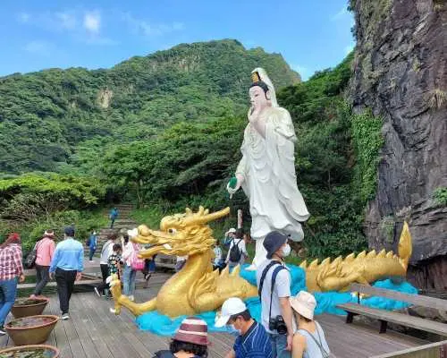 [보장된 여행] 이란 구이산 섬에서 즐기는 고래 관찰 | 섬 방문, 고래 관찰 및 섬 투어 | 모든 참가자에게 기념품 증정