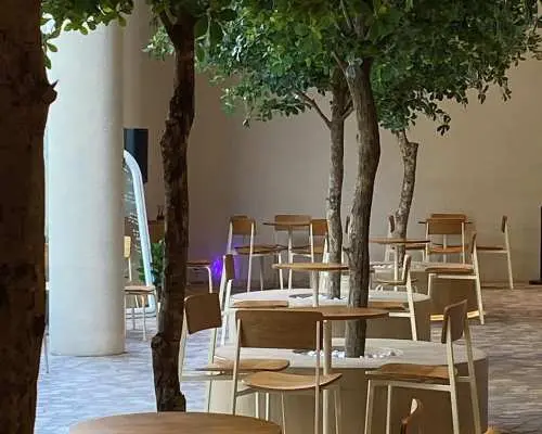 MmD.Cafe & Bar  | Bangkok