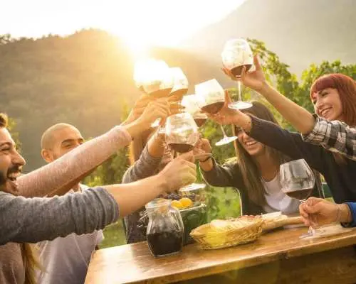 Vienna: Winery and Wine Tasting Tour with a Wine Expert｜Austria