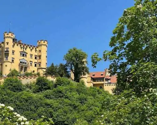 Private tour: Neuschwanstein castle and Alps from Innsbruck｜Austria