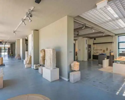 Elis: Tour of the Ancient Site & Museum by an Archaeologist｜Greece