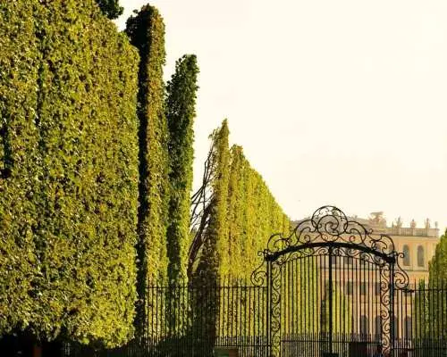 Private Schönbrunn Palace Tour: Entrance included｜Austria