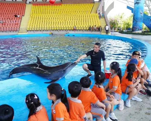 ダナンイルカ水族館テーマパークチケット |ダナン