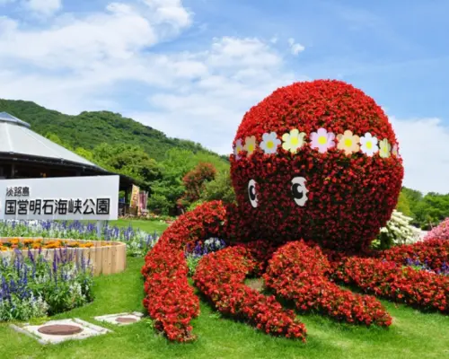 ทัวร์รถบัสแบบเต็มวันจากโอซาก้า ไปชมทุ่งดอกไม้บนเกาะอาวาจิและทานปลาชิราสุสดใหม่