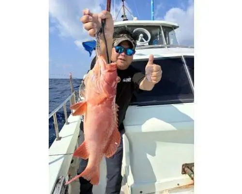 【宮古島/漁船 | 半日遊】可以吃自己釣到的魚嗎？ ！無需攜帶任何漁具！從餌料到魚類處理，一切交給專業人士！ 3歲以上兒童即可參與的精彩釣魚體驗之旅！