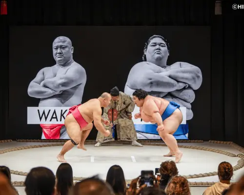 日本东京银座日乐座相扑餐厅SUMO Show｜座位门票＋会席料理