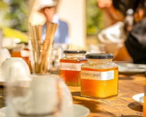 Honey Farm Tour and Honey Tasting