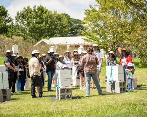 Honey Farm Tour and Honey Tasting