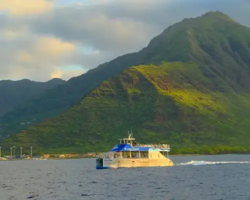 Catamaran Dolphin Swim & Snorkel With Water Activities | Hawaii