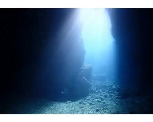【沖縄本島/青の洞窟】1組完全貸切⭐️GoPro写真無料すぐスマホへ⭐️初めまして大歓迎⭐️不安がなくなる3つの安心