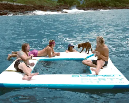 Kealakekua Bay: Snorkel & Dolphin Watch | Iruka Hawaii