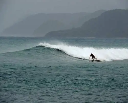 [Kagoshima/Amami Oshima] SUP Surf Guide (4 hours, up to 4 people)