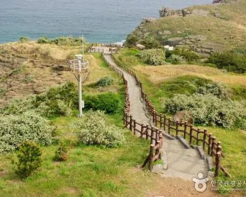 Jeju Chartered Car Private Taxi Tour | Juju Island | South Korea