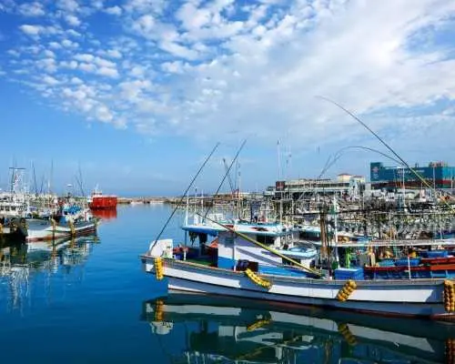 Jeju Chartered Car Private Taxi Tour | Juju Island | South Korea