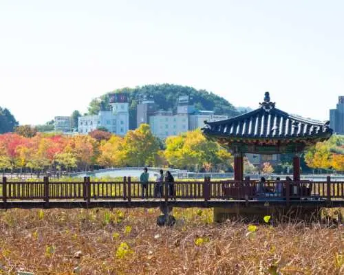 Jeonju Chartered Car Private Taxi Tour | Day Trip from Jeonju | South Korea