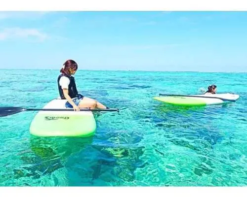 【沖縄・名護】“1組のみ”プライベートツアー☆SUP体験クルージング、写真全てプレゼント！美ら海水族館から車で40分の好立地！