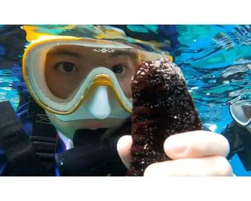 [Okinawa, Chatan] Open to children aged 3 and up! Exciting boat adventure snorkeling ★ Includes a stable SUP board, so even small children can enjoy it safely! Recommended for family trips.