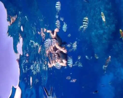 [Okinawa, Chatan] Open to children aged 3 and up! Exciting boat adventure snorkeling ★ Includes a stable SUP board, so even small children can enjoy it safely! Recommended for family trips.