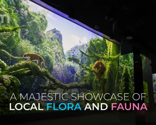 Immersify KL: Digital Media Art Gallery in Kuala Lumpur