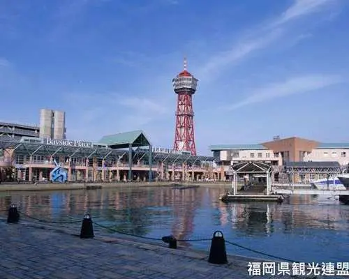 【日本旅遊】南阿蘇鐵道火車.阿蘇草千里.別府湯布院.酒藏見學.長崎三大夜景纜車.燒肉吃到飽