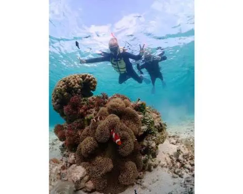 【沖縄・宮古島】ウミガメと泳げるプライベートシュノーケリングツアー！初心者歓迎