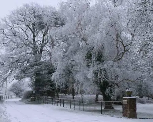 Christmas in Oxford, the Cotswolds and Stratford with Lunch｜United Kingdom