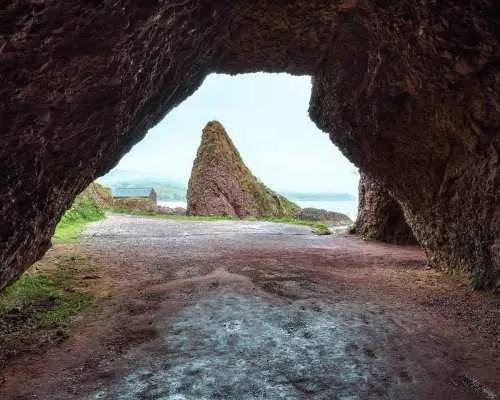From Belfast: Giant's Causeway Guided Day Tour With Castles｜United Kingdom