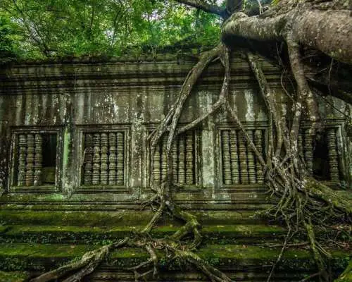 Full-Day Beng Mealea, Kbal Spean & Banteay Srei Private Tour｜Cambodia
