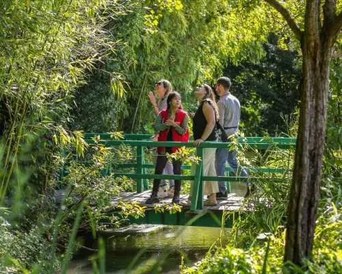From Paris: Day Trip to Giverny & Versailles with Lunch｜France