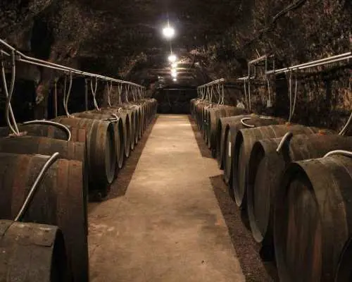 Loire Private Wine Day from Paris: Castle, 6 Tastings&Lunch｜France
