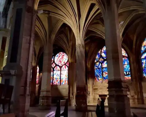 Notre-Dame Outside Île de la Cité & St Severin Private Tour｜France