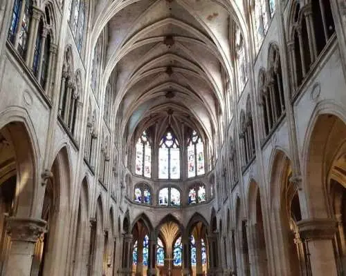 Notre-Dame Outside Île de la Cité & St Severin Private Tour｜France