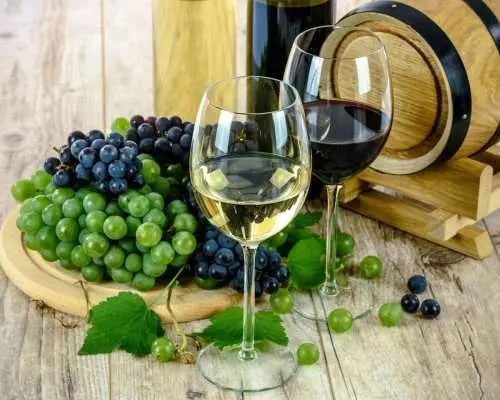 Bordeaux: River Garonne Cruise with Glass of Wine and Canelé｜France