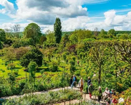 パリ発：ジヴェルニー、モネの家と庭園半日ツアー｜フランス