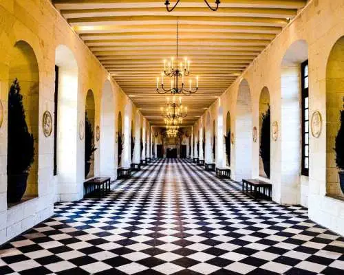 Loire Valley Castles: VIP Private Tour from Paris 3 Castles｜France