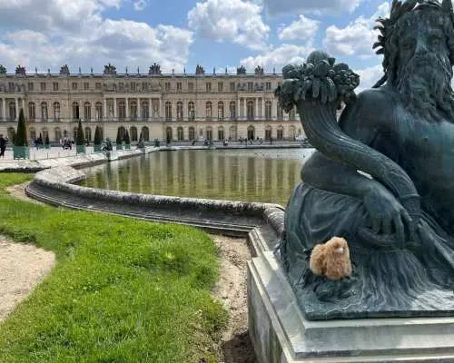 Versailles Half-day Private Tour by Luxury Car｜France