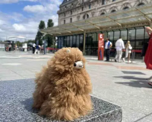 Orsay Museum: Museum Ticket Entry & 2h Private Guided Tour｜France