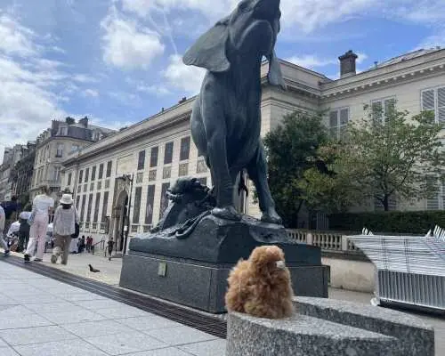 Orsay Museum: Museum Ticket Entry & 2h Private Guided Tour｜France