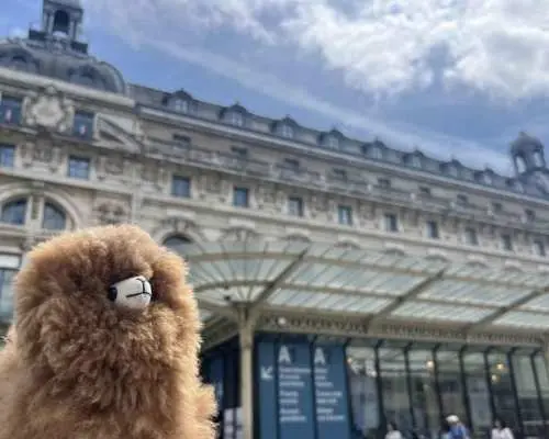 Orsay Museum: Museum Ticket Entry & 2h Private Guided Tour｜France