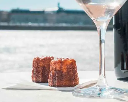 Bordeaux: Guided Wine and Canelé Discovery Cruise｜France