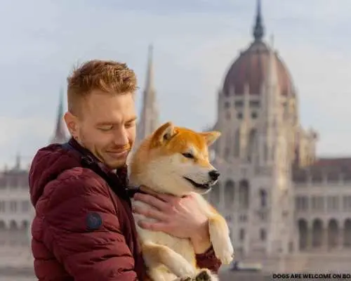 Budapest: Nighttime or Daytime City Sightseeing Cruise｜Hungary