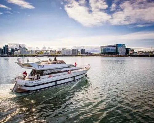 Reykjavik: Northern Lights Motor Yacht Cruise｜Iceland